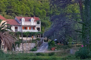 Apartments by the sea Slano, Dubrovnik - 15787